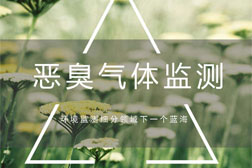 化工企業(yè)園區(qū)常見的惡臭氣體在線監(jiān)測(cè)應(yīng)該如何做？