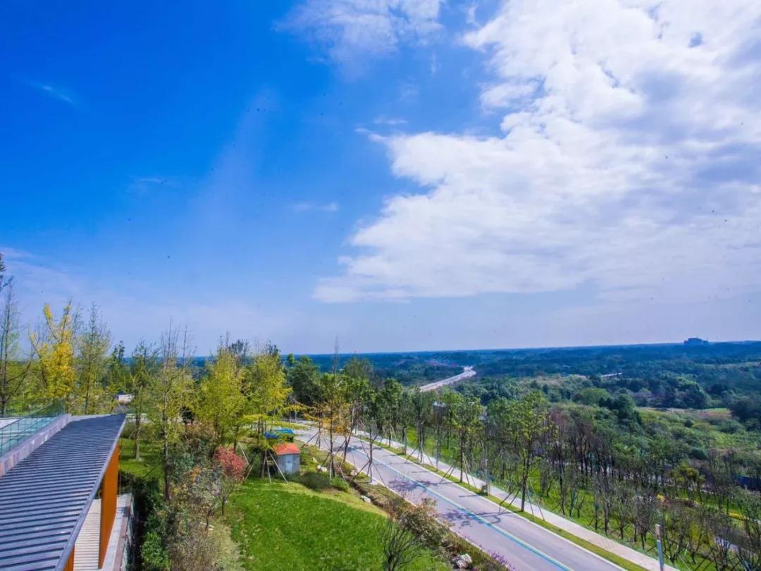 打好打贏藍(lán)天保衛(wèi)戰(zhàn)，臭氧污染治理應(yīng)該如何推進(jìn)？